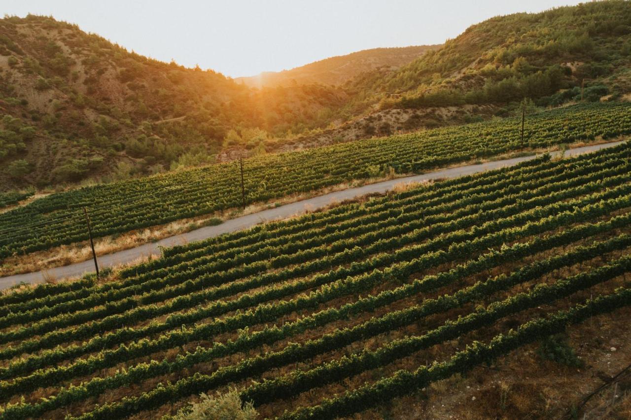 Gillham Vineyard Hotel Templos Eksteriør bilde